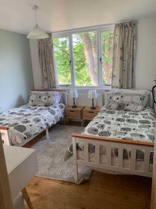 Cottage With Outstanding Views Velindre  Esterno foto